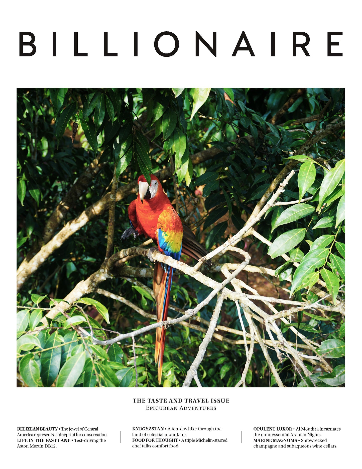 BILLIONAIRE - Print - The Taste and Travel Issue (#33)